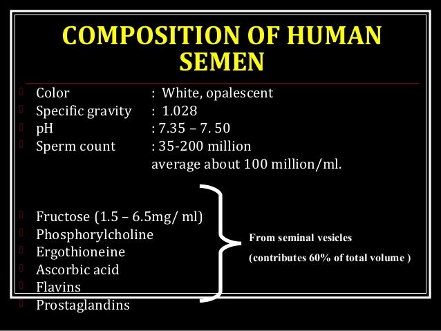 what is human sperm composition Chad brock porn